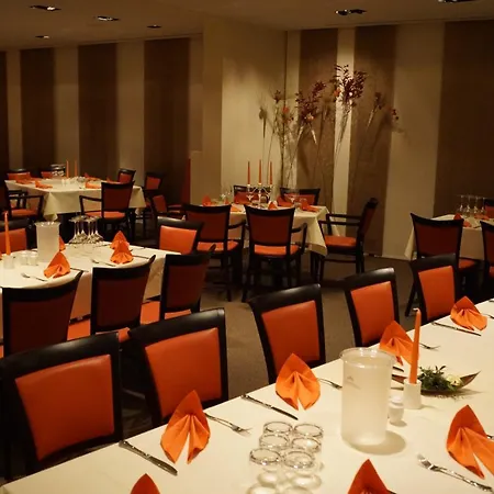 Hotel Goldener Loewe